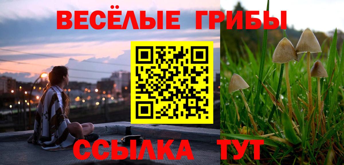 Назрань  Галлюциногенные грибы GOLDEN TEACHER  Галлюциногенные грибы MAGIC MUSHROOMS  Вход с VPN 